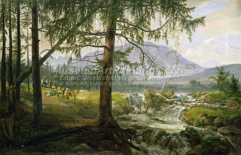 Northern Landscape