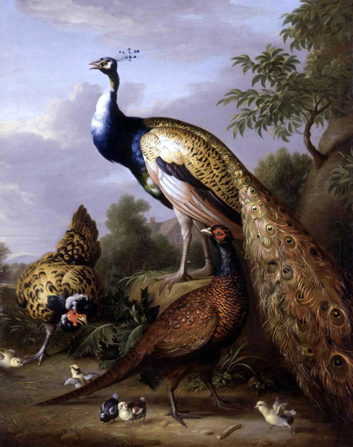 Peacock Hen and Cock Pheasant in a Landscape by Tobias Stranover
