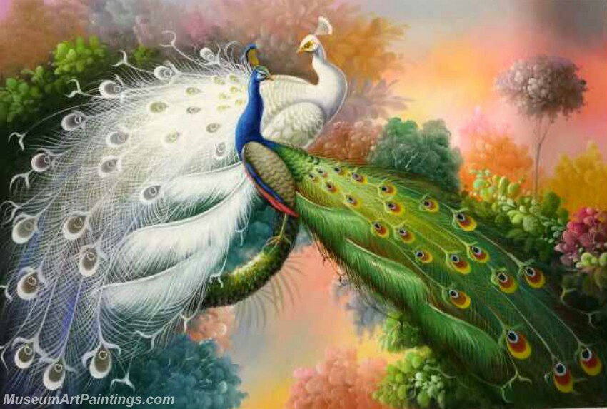 Peacock Oil Painting MA03