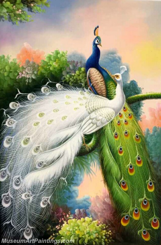 Peacock Oil Painting MA05