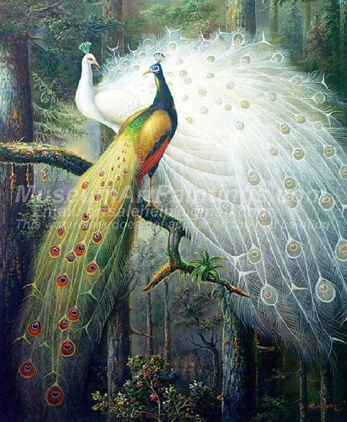 Peacock Oil Paintings 002