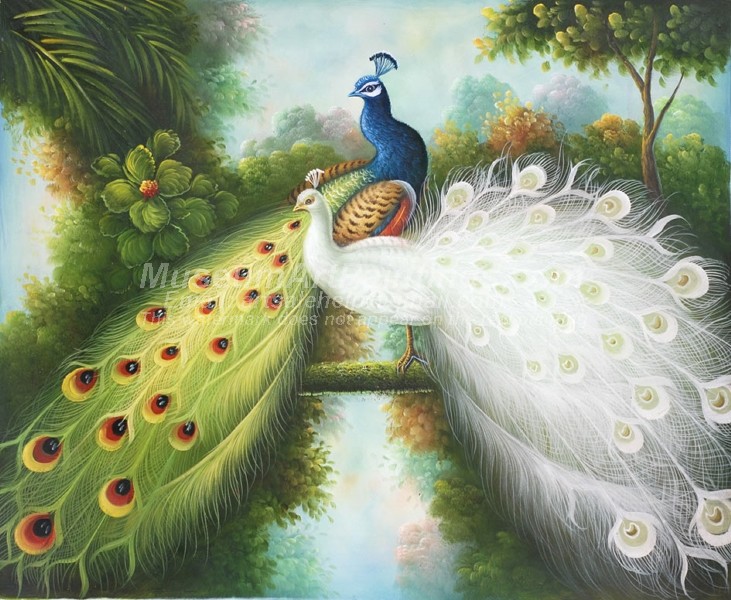 Peacock Oil Paintings 005