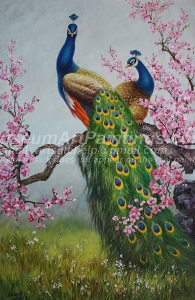 Peacock Oil Paintings 006