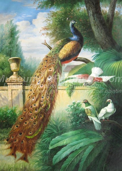 Peacock Oil Paintings 007