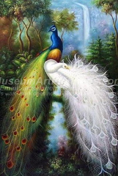 Peacock Oil Paintings 013