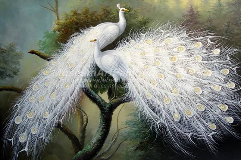 Peacock Oil Paintings 018