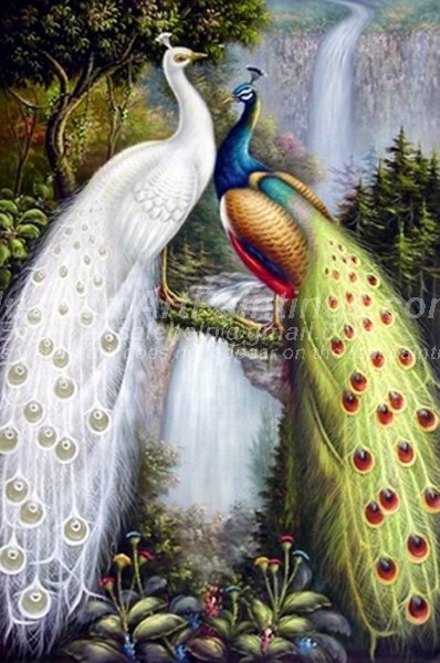 Peacock Oil Paintings 019