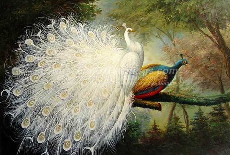 Peacock Oil Paintings 022