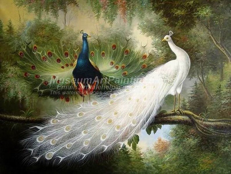 Peacock Oil Paintings 023