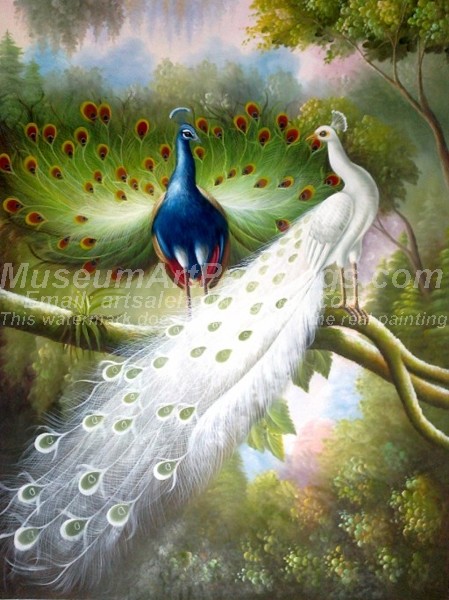 Peacock Oil Paintings 025