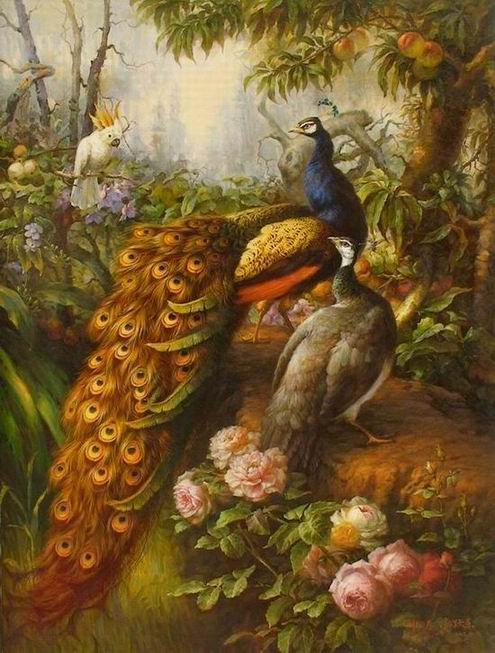 Peacock Oil Paintings 027