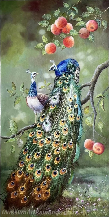 Peacock Oil Paintings NPEP04