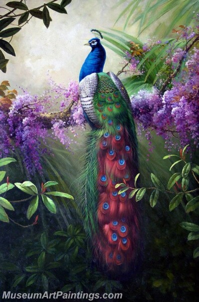 Peacock Oil Paintings PMP022