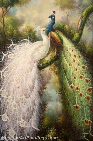 Peacock Oil Paintings PMP026