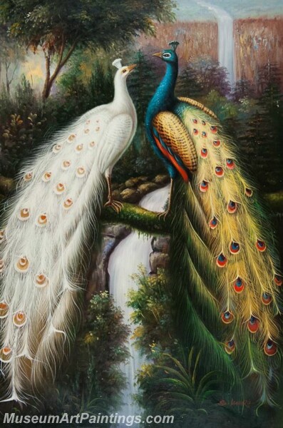 Peacock Oil Paintings PMP028