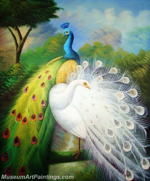 Peacock Oil Paintings PMP029