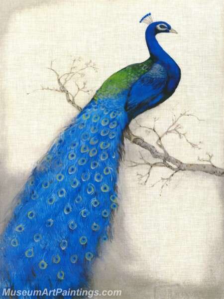 Peacock Oil Paintings PMP030