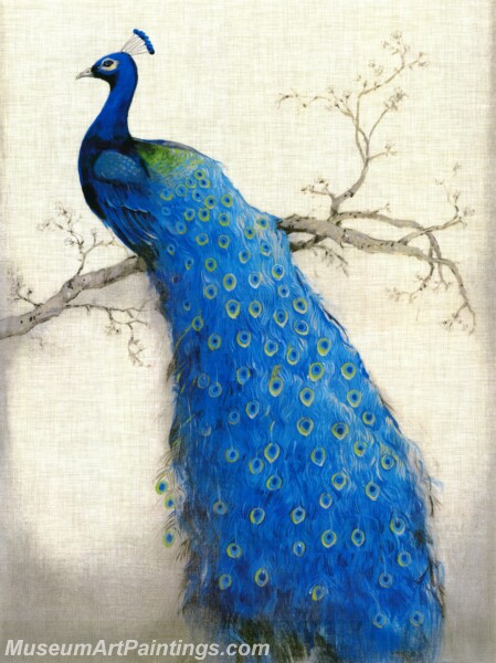 Peacock Oil Paintings PMP031