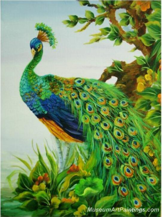 Peacock Oil Paintings PMP035