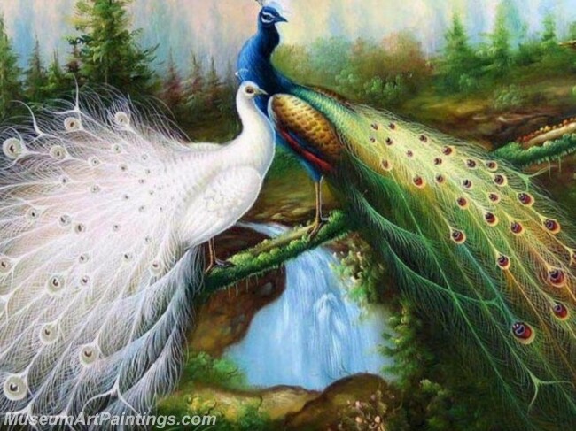 Peacock Oil Paintings PMP036