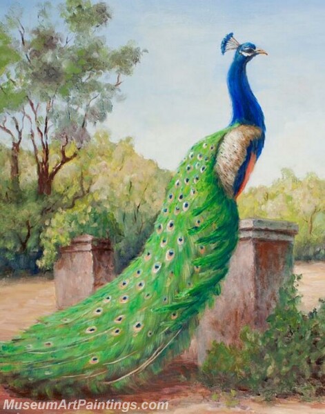 Peacock Oil Paintings PMP039