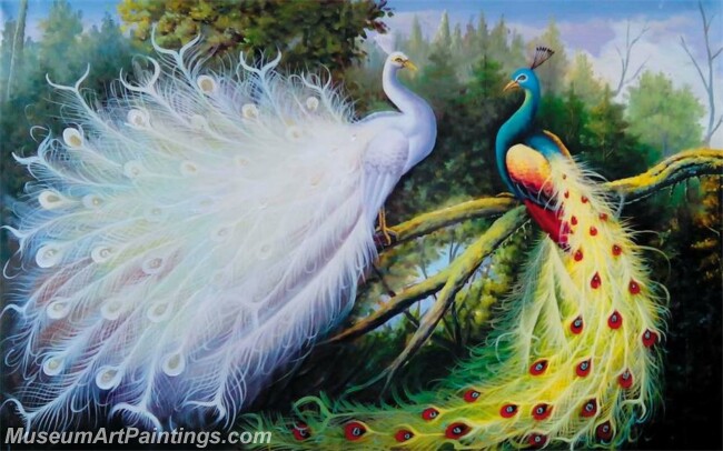 Peacock Oil Paintings PMP043