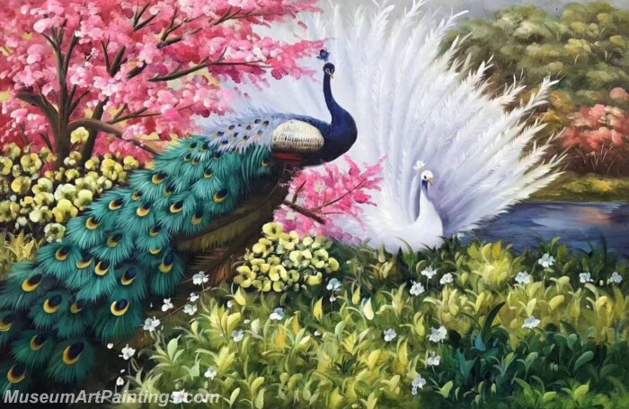 Peacock Paintings DMP05