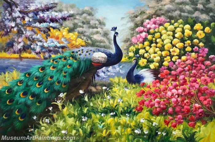 Peacock Paintings DMP07