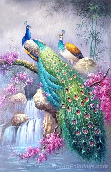 Peacock Paintings Peacock Oil Painting PL2