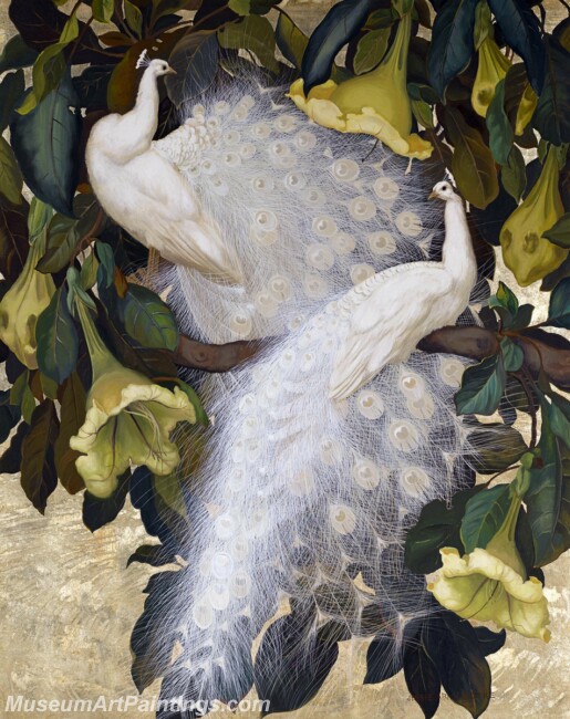 Peacock Paintings White Peacocks and Copa De Oro