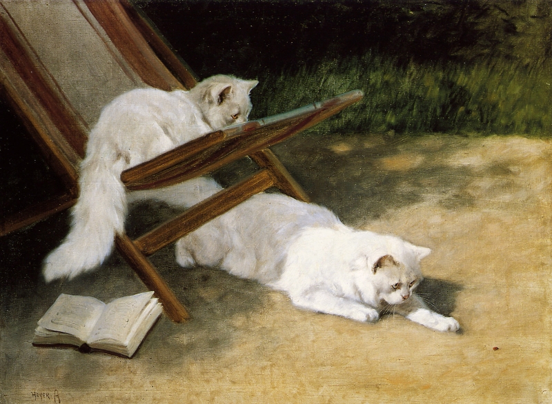 Persian Cats by Arthur Heyer