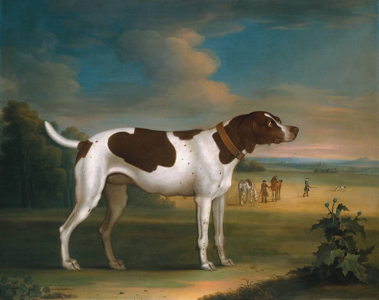 Pointer Bitch by Attributed to James Seymour