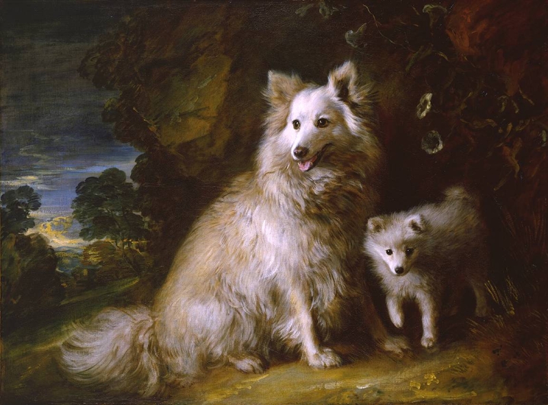 Pomeranian Bitch and Pup by Thomas Gainsborough