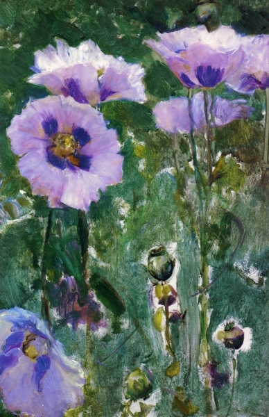 Poppies Pavillon Colombe by Walter Gay
