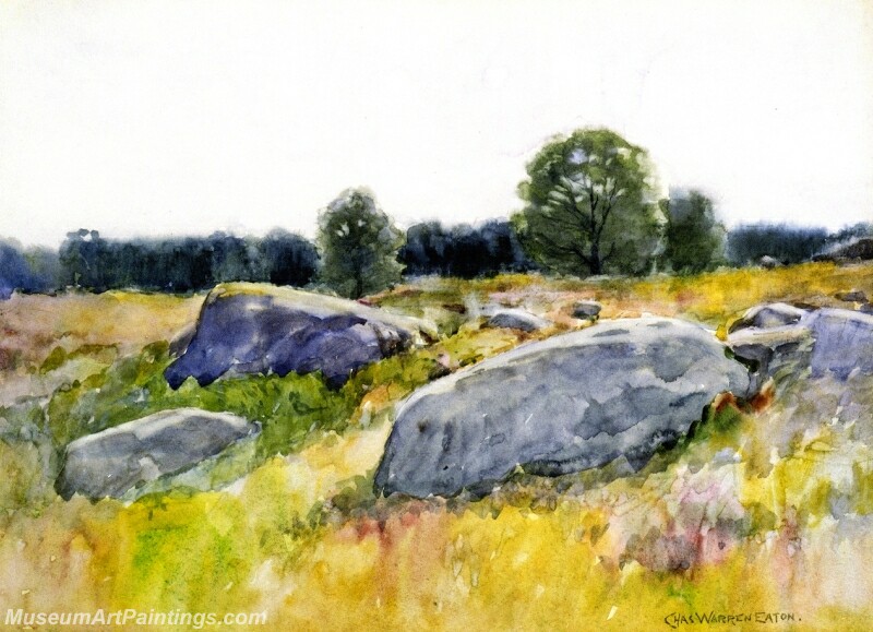 Rocks in a Field Painting