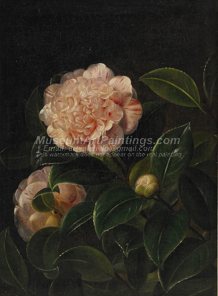 Still Life with Camelia