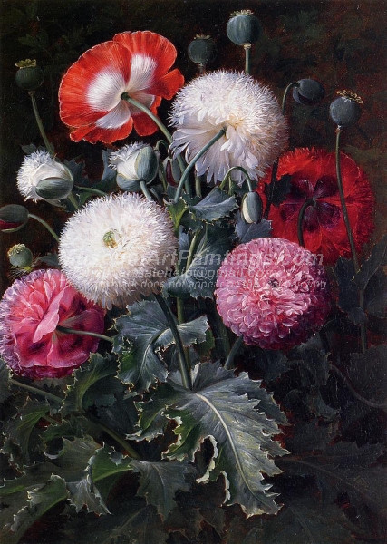 Still Life with Poppies and Other Flowers