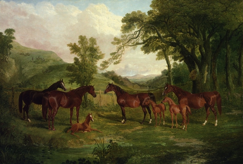 Streatlam Stud Mares and Foals by John Frederick Herring