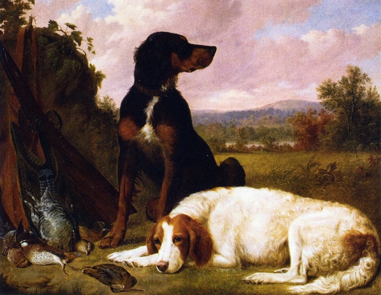 The Days Bag Guns Dogs and Game by Thomas Hewes Hinckley