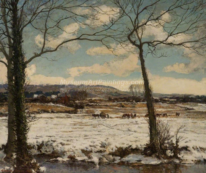 The Frozen Meadow Winter