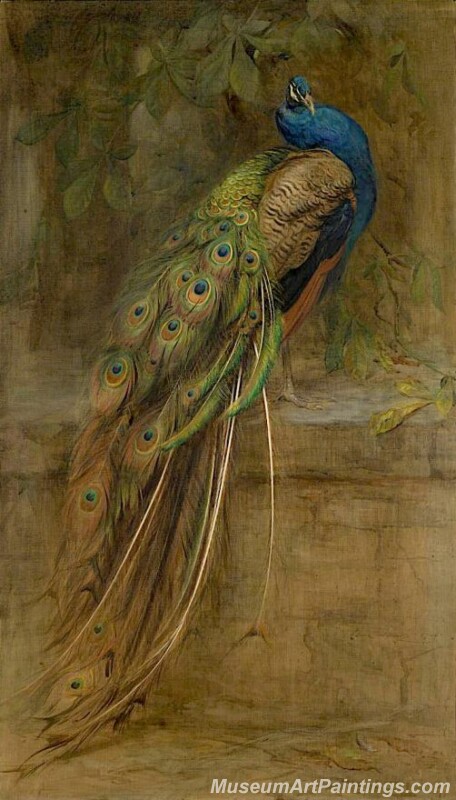 The Peacock Edwin John Alexander oil painting
