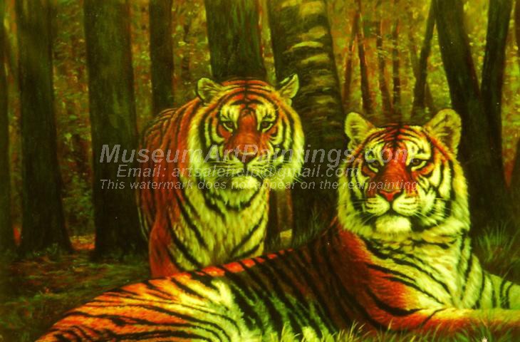Tiger Oil Paintings 002