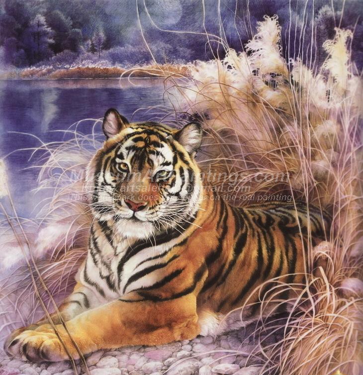Tiger Oil Paintings 003