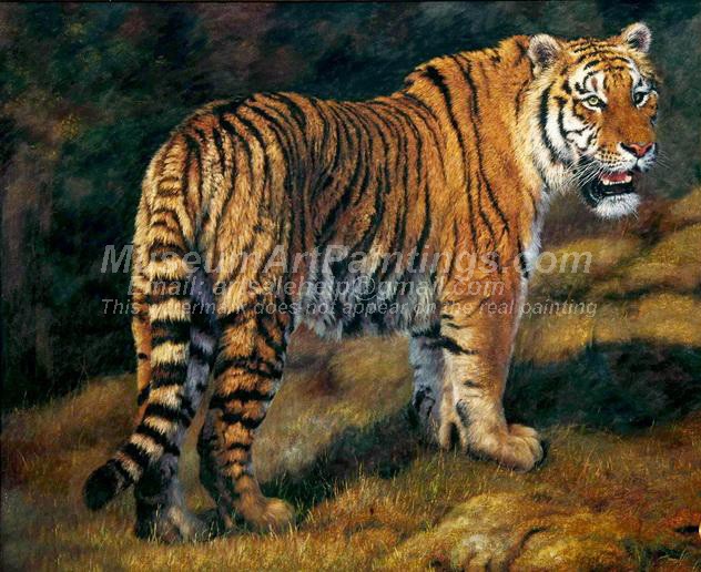 Tiger Oil Paintings 005