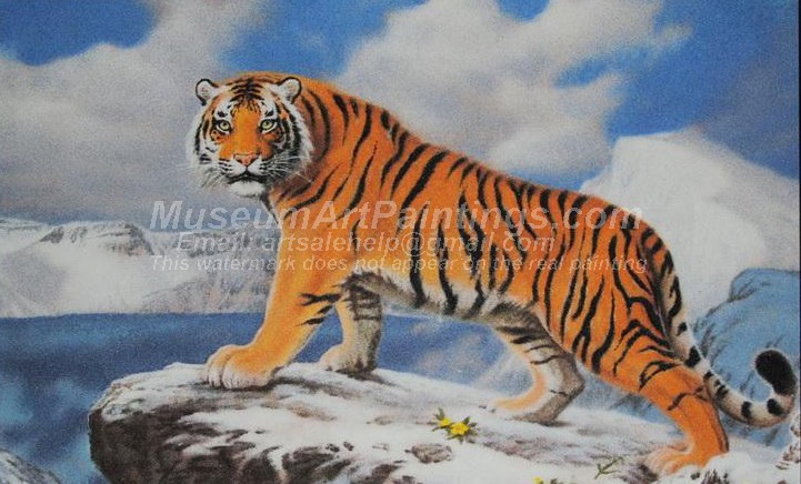 Tiger Oil Paintings 018