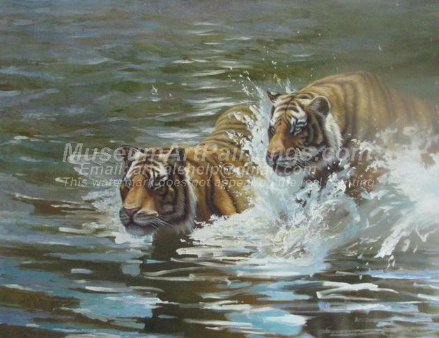 Tiger Oil Paintings 021