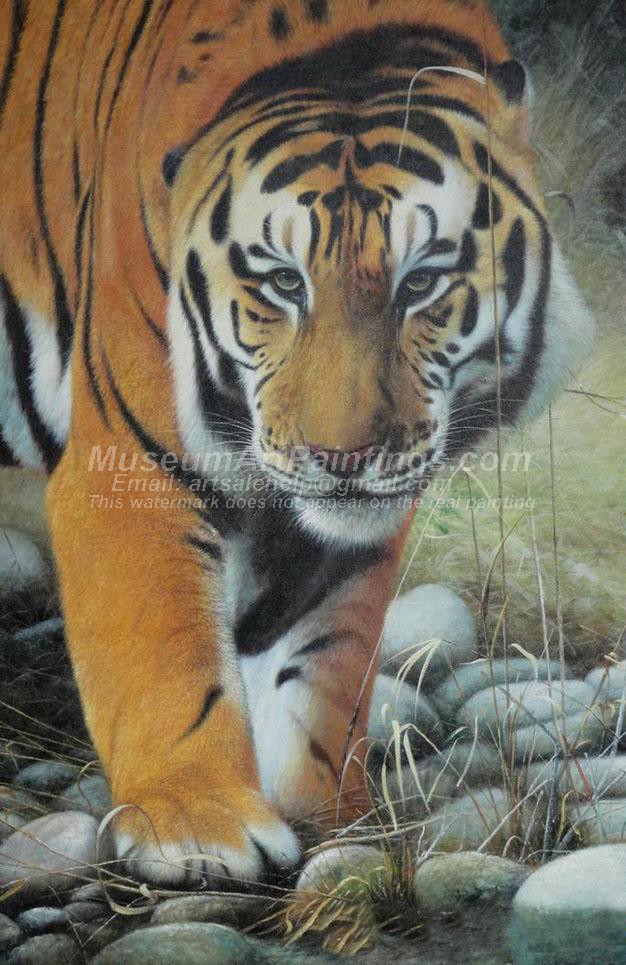 Tiger Oil Paintings 024