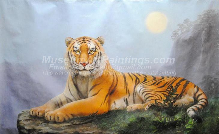 Tiger Oil Paintings 026