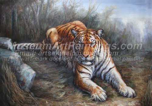 Tiger Oil Paintings 027