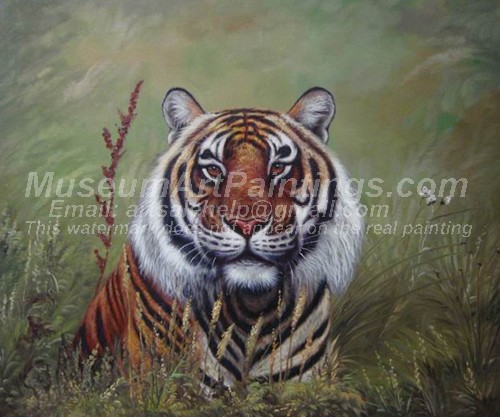 Tiger Oil Paintings 028